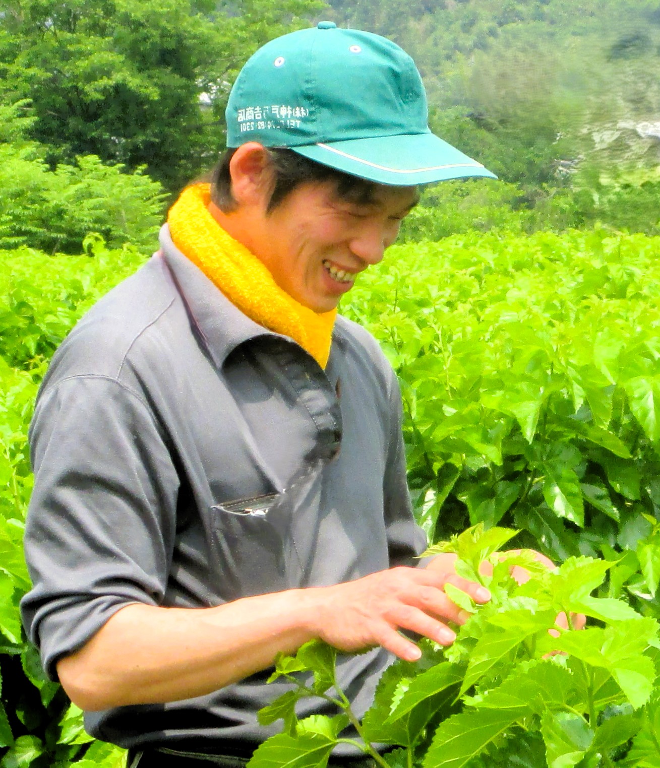 神戸隆介のアバター